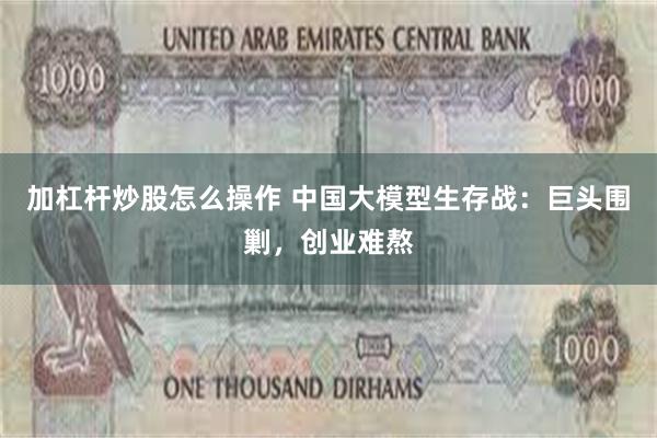加杠杆炒股怎么操作 中国大模型生存战：巨头围剿，创业难熬