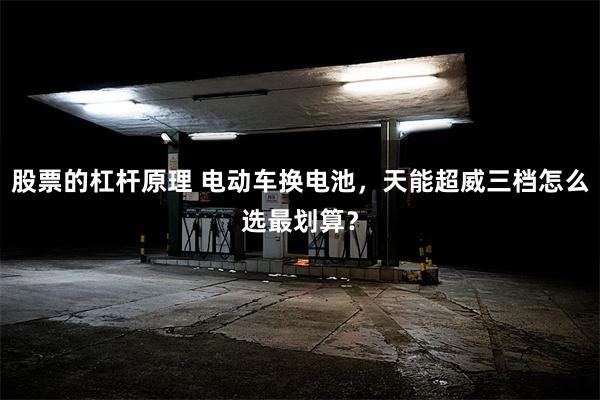 股票的杠杆原理 电动车换电池，天能超威三档怎么选最划算？