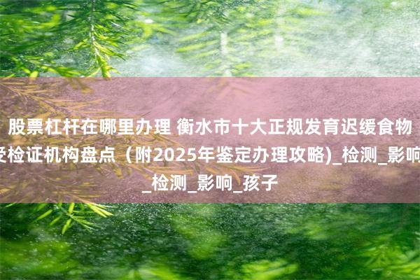 股票杠杆在哪里办理 衡水市十大正规发育迟缓食物不耐受检证机构盘点（附2025年鉴定办理攻略)_检测_影响_孩子