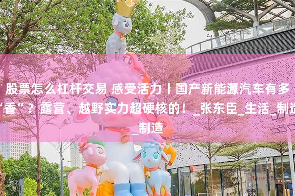 股票怎么杠杆交易 感受活力丨国产新能源汽车有多“香”？露营、越野实力超硬核的！_张东臣_生活_制造