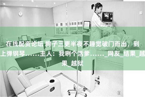 在线配资论坛 狗子三更半夜不睡觉破门而出，到楼上弹钢琴……主人：我咧个活爹……_网友_结果_越狱