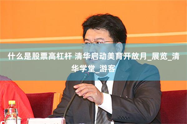 什么是股票高杠杆 清华启动美育开放月_展览_清华学堂_游客