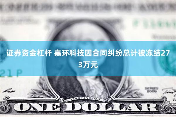 证券资金杠杆 嘉环科技因合同纠纷总计被冻结273万元
