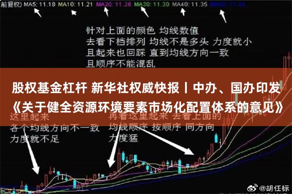 股权基金杠杆 新华社权威快报丨中办、国办印发《关于健全资源环境要素市场化配置体系的意见》