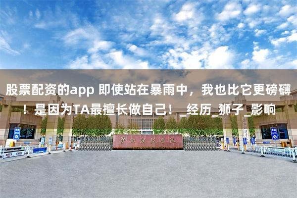 股票配资的app 即使站在暴雨中，我也比它更磅礴！是因为TA最擅长做自己！_经历_狮子_影响