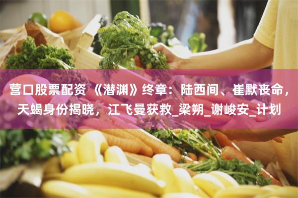营口股票配资 《潜渊》终章：陆西间、崔默丧命，天蝎身份揭晓，江飞曼获救_梁朔_谢峻安_计划