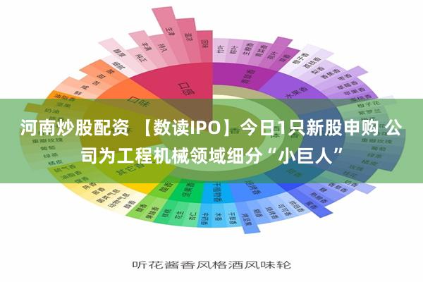 河南炒股配资 【数读IPO】今日1只新股申购 公司为工程机械领域细分“小巨人”