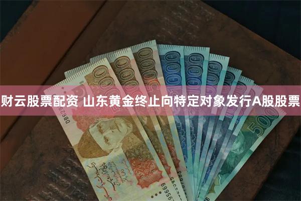 财云股票配资 山东黄金终止向特定对象发行A股股票