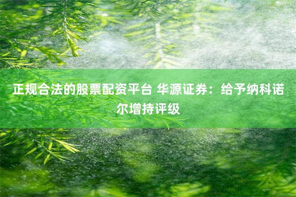 正规合法的股票配资平台 华源证券：给予纳科诺尔增持评级